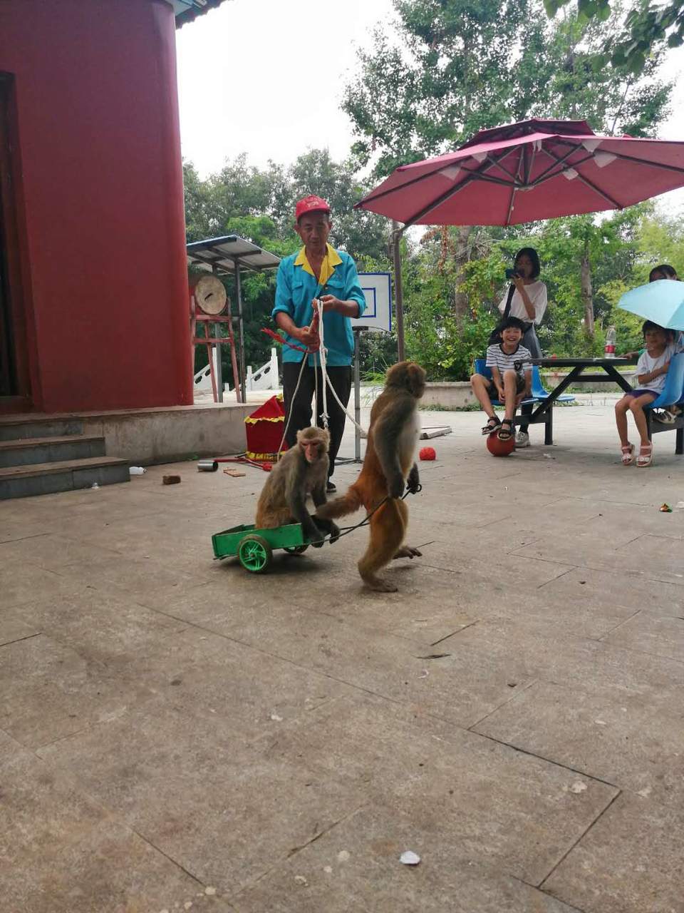 QhMOzxmvtYpPA45K5fdYQodcYbbdbFWQ7Q7sB-Fzq8q5fVh9nmyx33PA9eCDyfyt