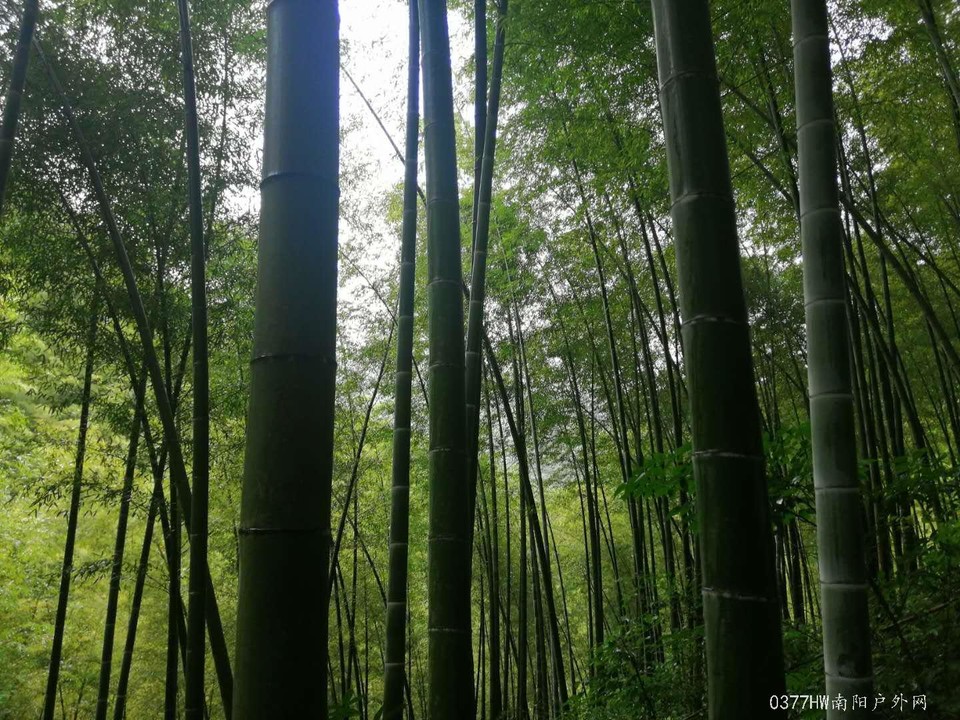 uOSC72j6pzCJwWx88iNYqbOMvnq7SJ-RNKKT08x5eSyh5faEWKQcbOcC3SQ2r0WQ