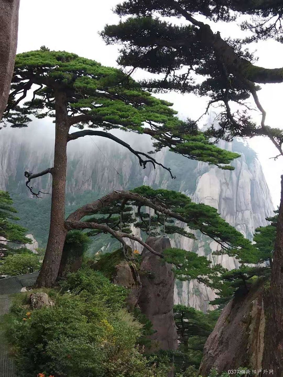 0gMVYXQ9UhejxiUhFX0_R9w3_sq7sYJ6jtOwh41Gu2lCEDt91L85tePKHRDXzQ0g