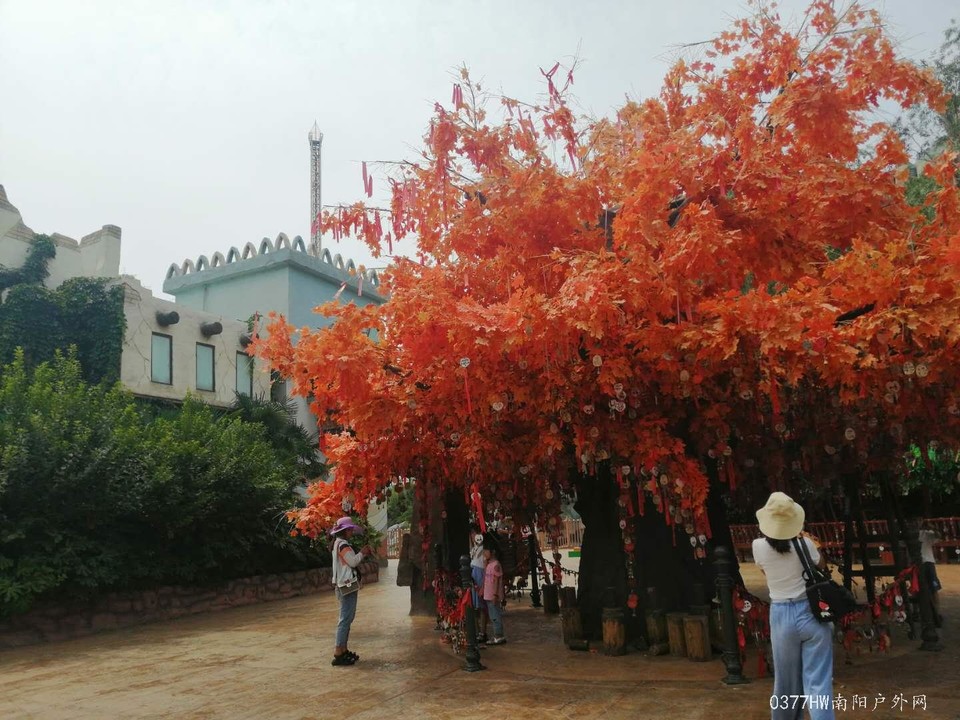 vHoa7etMi60vR-DGjcrSZYoja2MXXDc_CXIFqykrj-JRjICAzwyKQz3UkLLhoEJ1