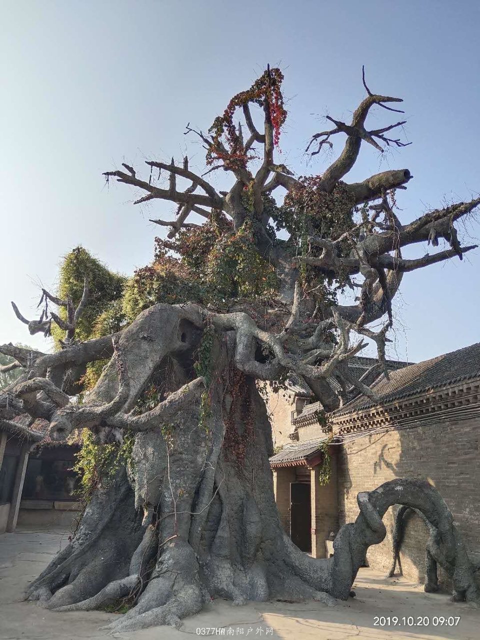 mjupMZRQyXhk5vlkblXAIqzX1hE29hydCbJgRVYTg3637usnbEA7MS1-B6SHaz0H