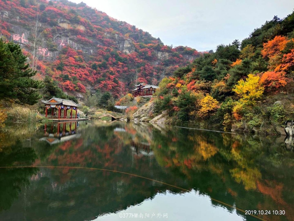 gD9escTXTa6qdAj7SFSlSXJ_OLZGF8xTioQ4yngzrTwX29EC3Z6C4JPwNSLgevf1