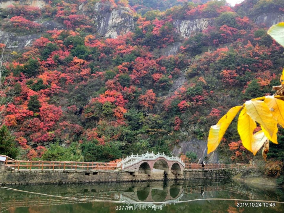 SwpqnY7H8oWay38q_jd3SYVzM28BjzYFHa0LMOHYuUWlDn69OzrCUDX9HQzMRGmJ