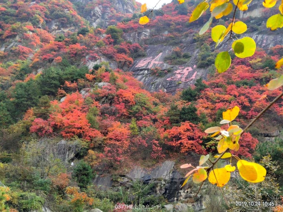 COcg6miZTGqmKfLnWvarKdHqsK_4R7z3IxE2-rEX-9DEkMhC1KSP1In09pf5IwKs