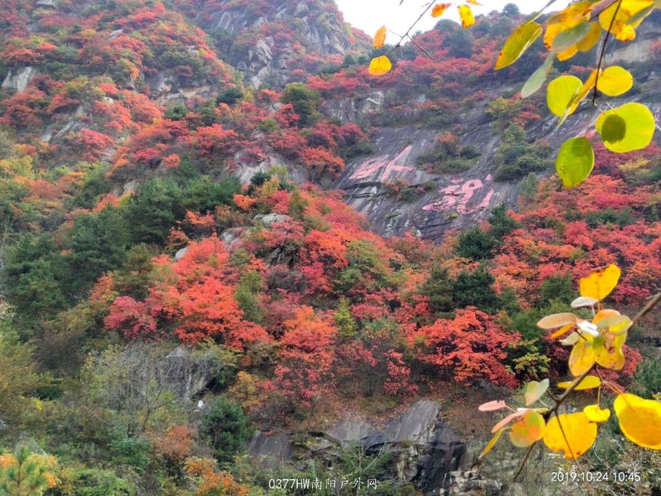 0LA0VxVUHQZJoEQt7-uLYjEaTO0649LVAWKLBglrZO6Xi6unrT_Shu7Fx87LtNCS