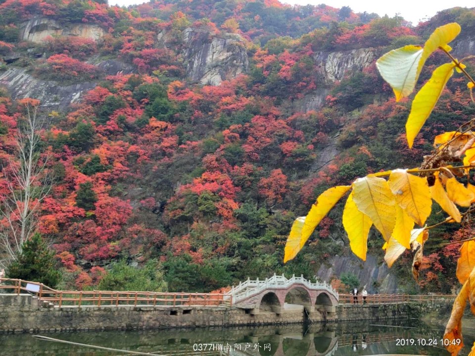 mRiNcn_92Zr4yfdLNAP9Nkj5tEe49nCXExPdHGp6S-1BCVRys0XZ67ORjAthn-MR