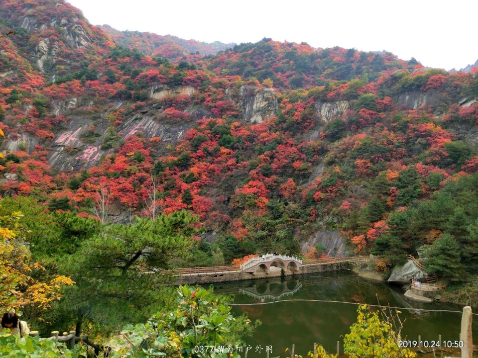 BWwsB4D_8ZPR8jHZ3NYNSW67iiWdWNPMZMffg-lUwlfh3BQVnCQsgvzzMR6GLfG-