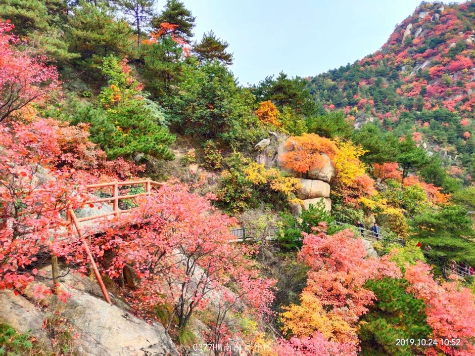 buUZbeR03kmeSN35AvVh1wIqDz3BJOHbwrmejJLEDnSjA9q69hiM0IGYLkRS1XDD