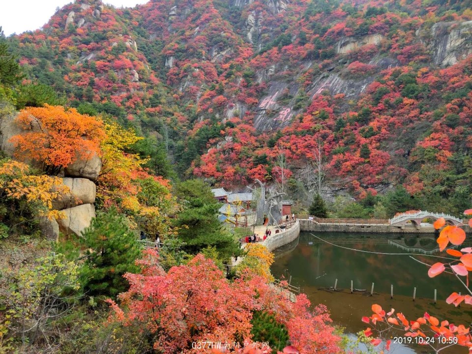 l4aK2crE5KoRjtPPmyKZzuZYaA1GFd4helg5XLdE-hqu2EhdPRyh9u_I6ZghiIhk