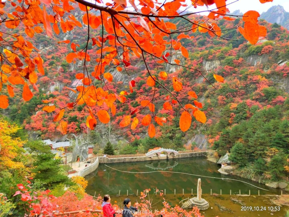 025UW6iDBpKTJmpkTjrk_Zu6tHnkSi2iuGqCMoqyQ05zHH3NVobBNFnieibcS2G5