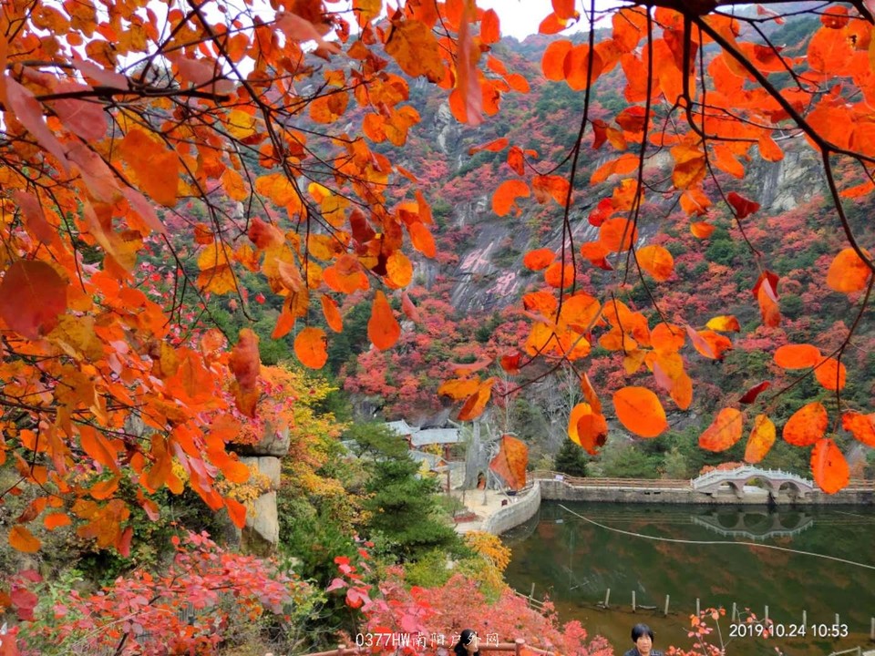 wTs5hSIus8UyGT6N3j7gJoLwoPJCdZxjq0tgClXt0GdKdztfuS4BFhH4zB1u8HP5