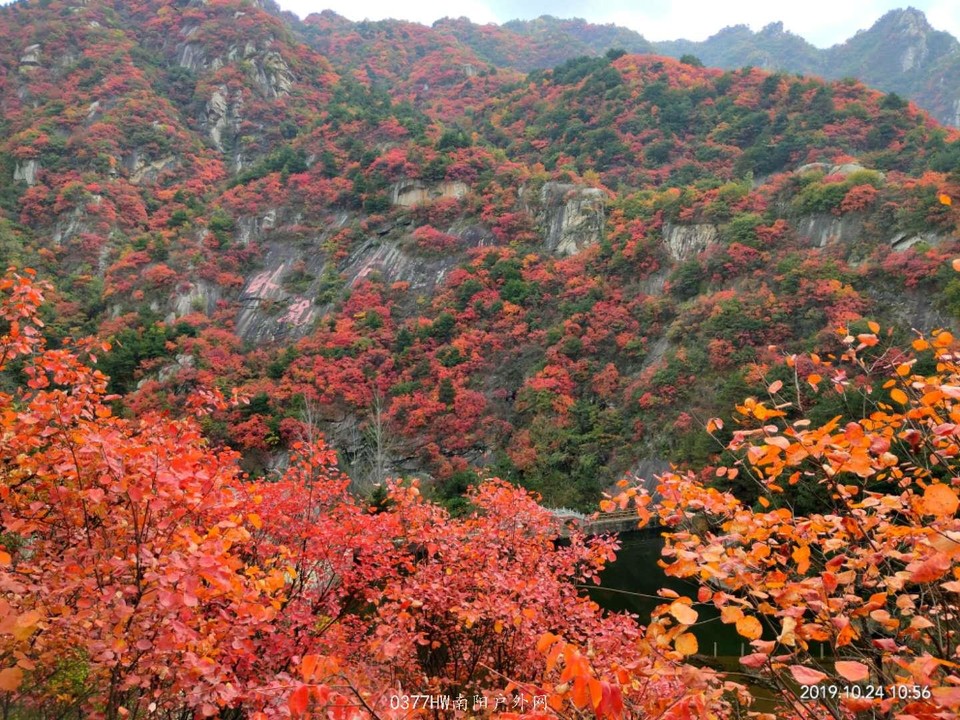 8DdF6Pso93agbkCDjBmVMOrHXwZSqfWeo3QJsTULPHngpyE7DCGok0JgA_E0MOY-