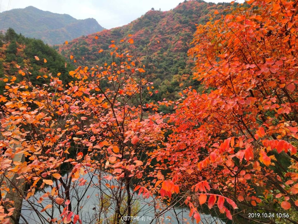 et8Znbmoj1n51MkBEvelXES_qYFsYBM4mIjcHLzGu4g5Hg3GGrlR47CBQI4RRyTl