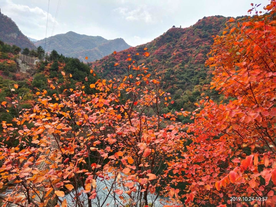 CUPPqhQWMrWXhF195vjTh-Mc2PNfetAuh0BcmE9vhc-IO49Qw3IzXfqU8kk4QgWY