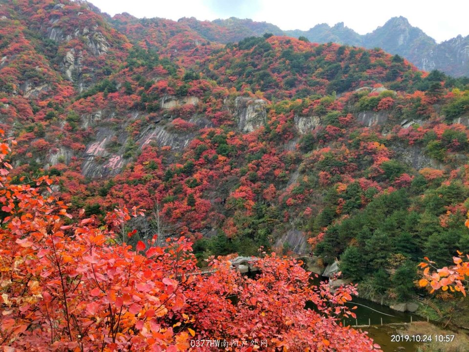 gfO-4fQOPzvK8Og50dhcH_kp1ERAEA5QxKmA_gaBc4Z4YK4RiIOLXh2Rsctx9mcq