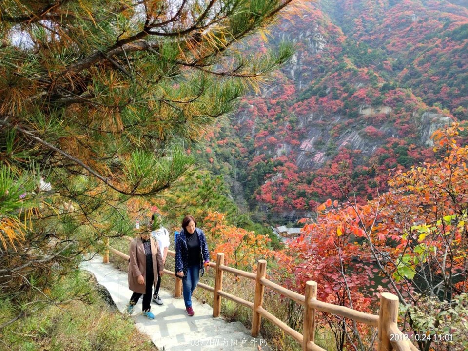 UzzPnD4fKYIQ3oMwoTeOwTaDTZ9o3mCHxuLgVWzZODLrSXA1KfxO4iZfDQ-JPoxf