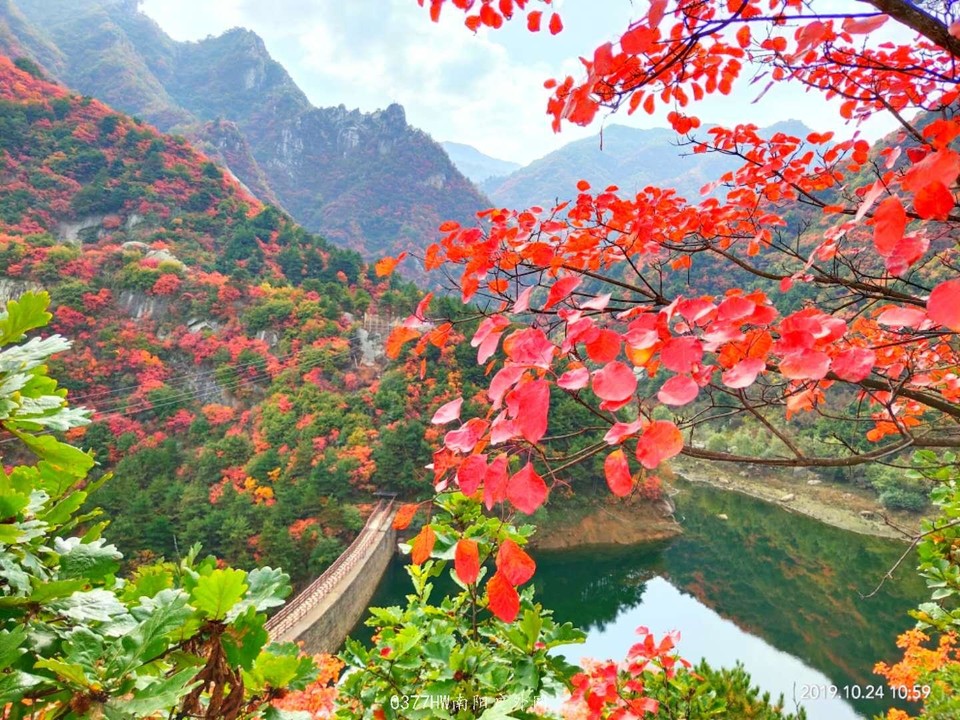 COcg6miZTGqmKfLnWvarKZnGf0WTbWcR45TLTH_a7jd7q3QPKj7nfJOrQKtr1Hlm