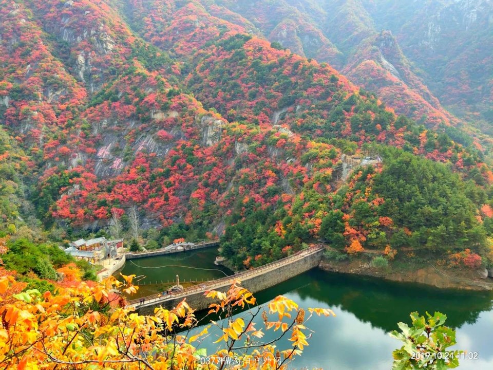 ccWPm0d4nEoyqS01np-s0IBTaxyXL5GmO_2KHnax-h_V08VfS2eLwaofR7uTWsqd