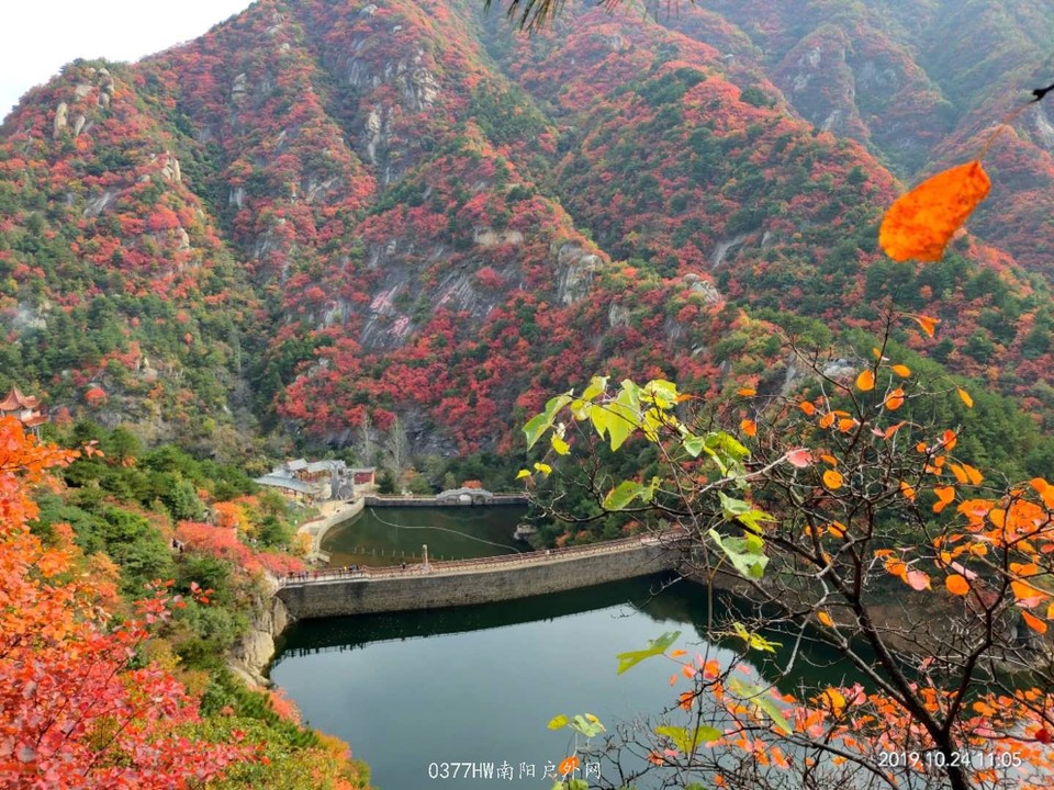 Fatm545T0zIKph_9W-fSrQ7GGd5sitSs4-xT1xviUXSGuBckSi5WqFtcqHKmdh42