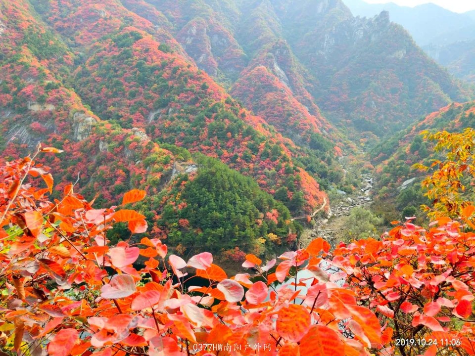 3bEHYrCuQ9xyaHYxk4dbh5OwKqQZ5EwegLK9n_292B-4F6toA3-nbVYelbTpyWyq