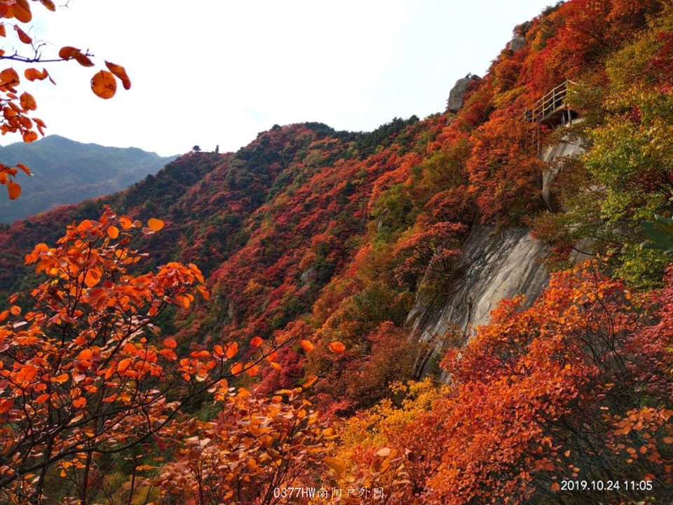 1PPnQ-13n7sRJjbraDSEYYnWxOi_1lO89djEJ9_-VvZZWm2dnDnhXuPxHGz2VbsW