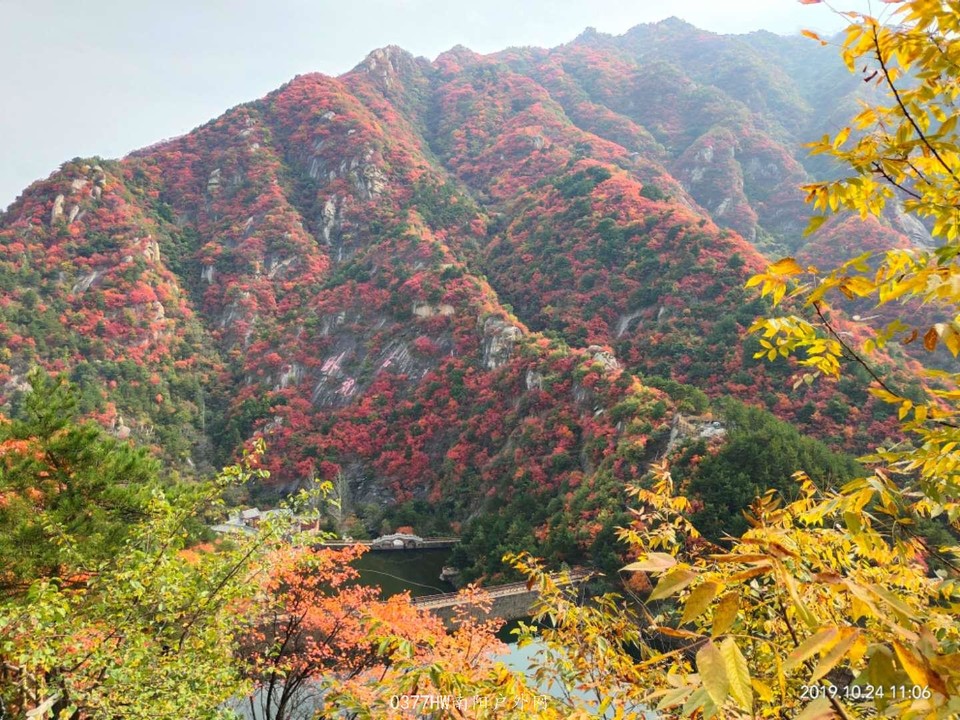 8Go-1Gonc5Olxuq-xEuUPpO39uDz9RjN8-82pwS8c-RvUP_60AiLychGL_gAgaOm