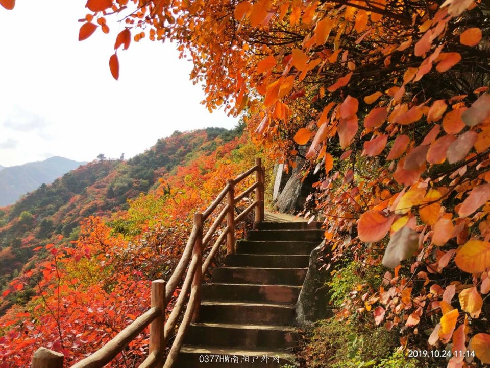 uOSC72j6pzCJwWx88iNYqU85HHrWgcWJFerT9I8qSNhFvehj9Qc8LnAwBKObSfJp