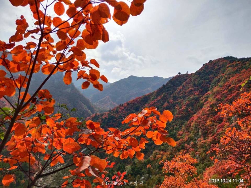 VHOhbVbnbVAZimCWi3NdhY7pF90uDVek5KvfavkVRjJnapYgSfrdDBbDZPUvHjSD