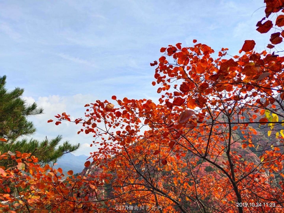 GIXKVvvEUD0CDLtdLQ_SaeYtWl7m4KN3DXrpE6l5Sv3pGKQsllLjivbZmwl3p0ie