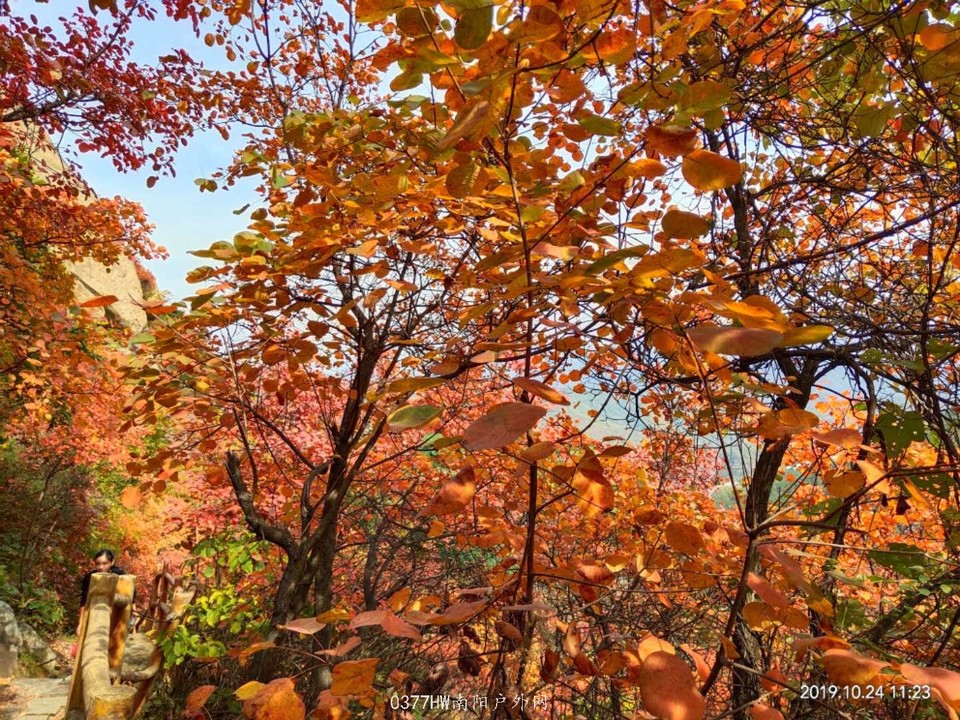 22tvTk8aWo909fk4kjkalbiy_3FttEEcmYaxa9LBfq50OmNPYEJWY9rsORAgfu98