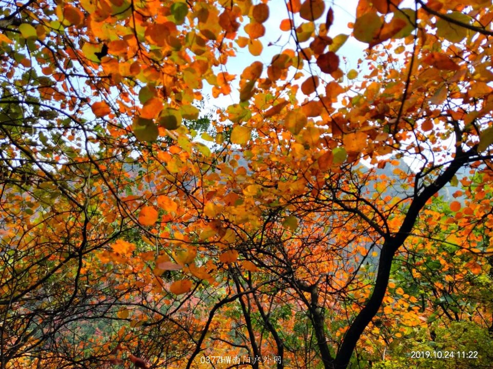 g3R9RknQHTT-Iah72MKo3Yg0jmkRzIdglbeJED2eRyyQdNIgfpUChCI2XJfhT_uy