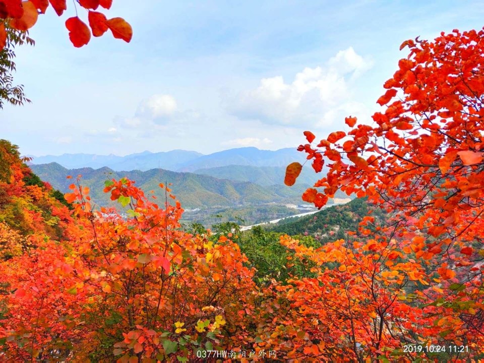 Obfoi1PNpaiSkKmeotBuNp0pkxI-7vgvzCYiV1wgo0y09jioAuRzgH6kBMZy0u3d