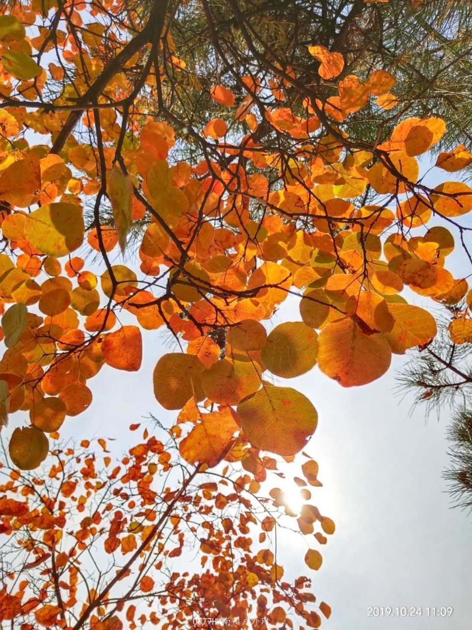 GSjG14PNoBoAo3cvj-cgApVYggMiM0fvpsU0VCxPTMhnlo6W-W5EEKIblmAxS9To