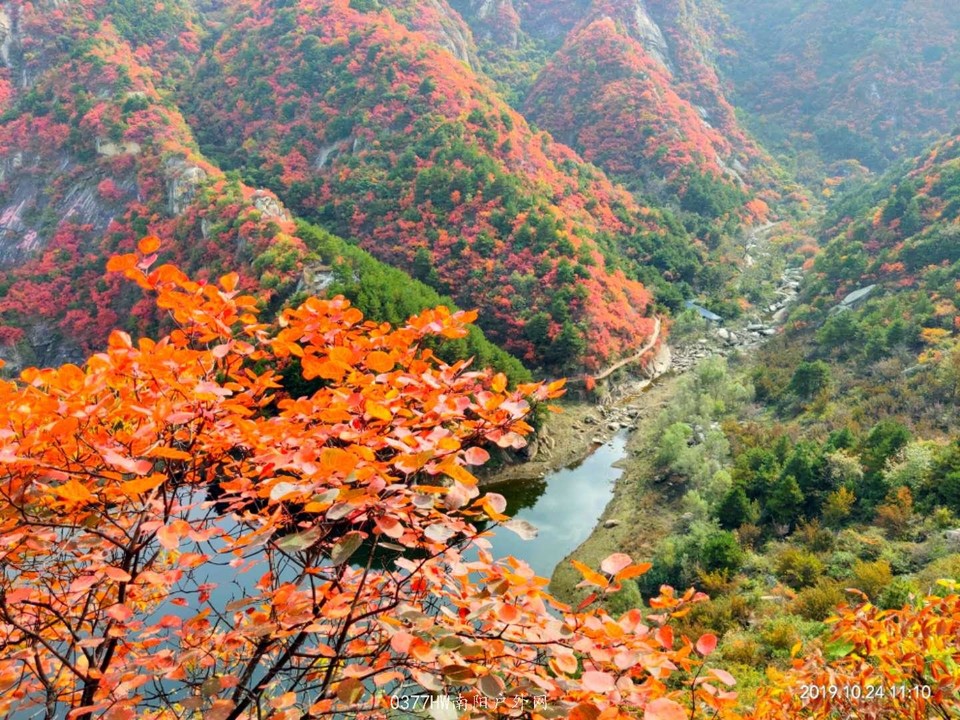 Hzfw91TBEZw2Tgi_9FjRxHWSICusIYYJ8KMsoBnR5Ry4B0_WQ6obo0OlszjfnVGX