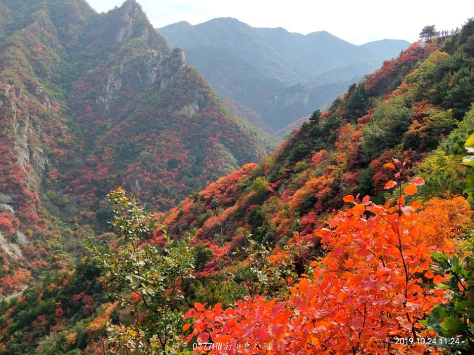 UNLxg-e-_rsSRdlrWCQXDt4xcDUN5goNjuZ6zMJsnxql99RBbgN0z1GzycndcDNX