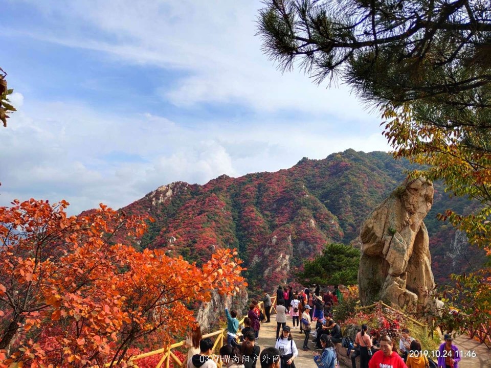 0rKuZwWVgv0EcvYLm5YUh_dHmbUShnA6KCpo8ltoWjycRw9w1TC2bxqwQwkprtYT