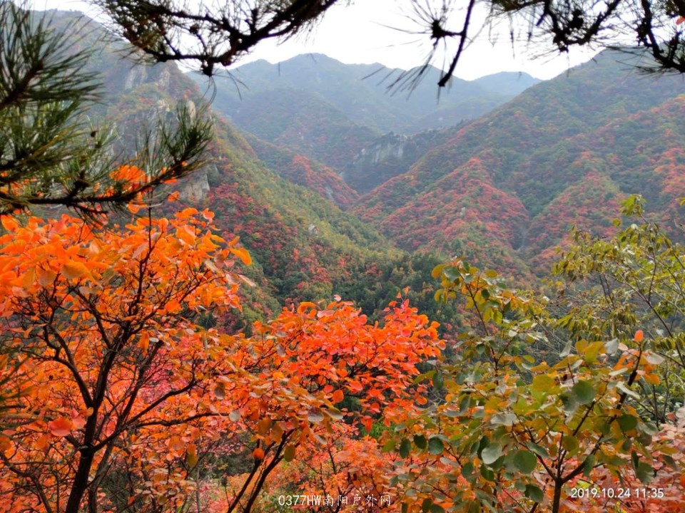 cnAJjnTbFRriYx3e3TCcrqArRiPRORBk87K8wB4t9wImEnFuIV56pdq-qeJmqrWn