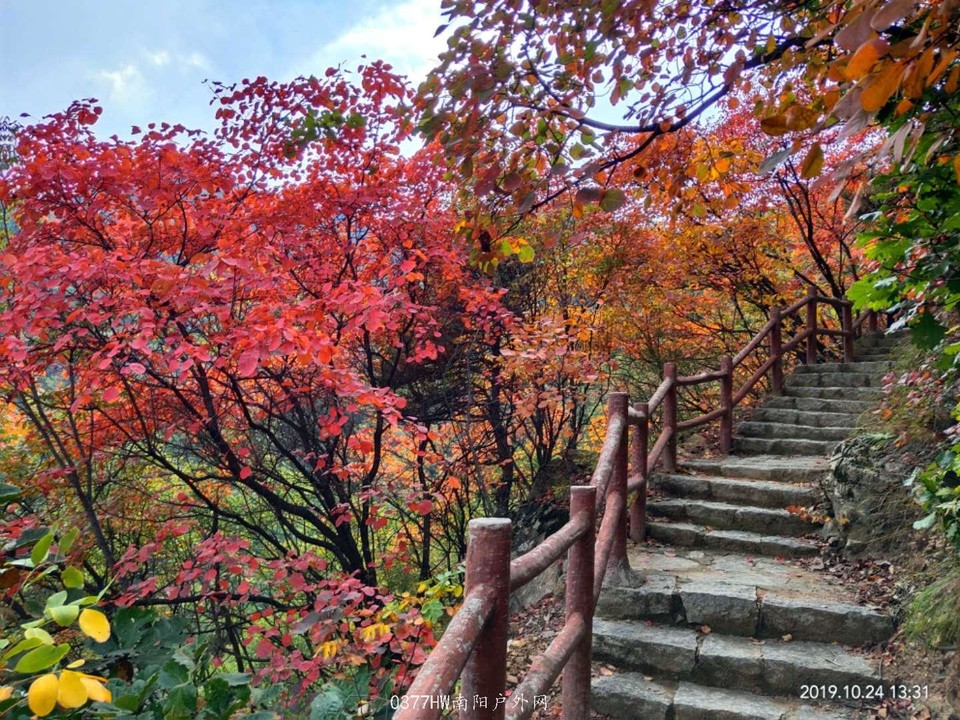 9mHgg7-XGI8ZYV6M4fzt2zshZRGlwZOpi66Dw-IysCis3EGbQ0qChLnqfsoigLGA