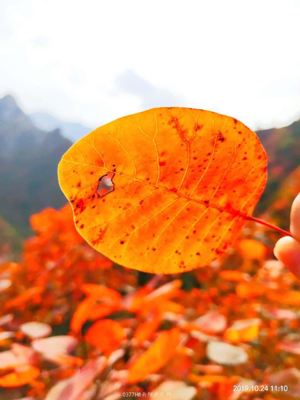 -1qsUW98tEuy4nfgoDL1OCB9nrjcrdGO_0oOq3NyI6K8BWNxfMg224Sh1nu0diOf