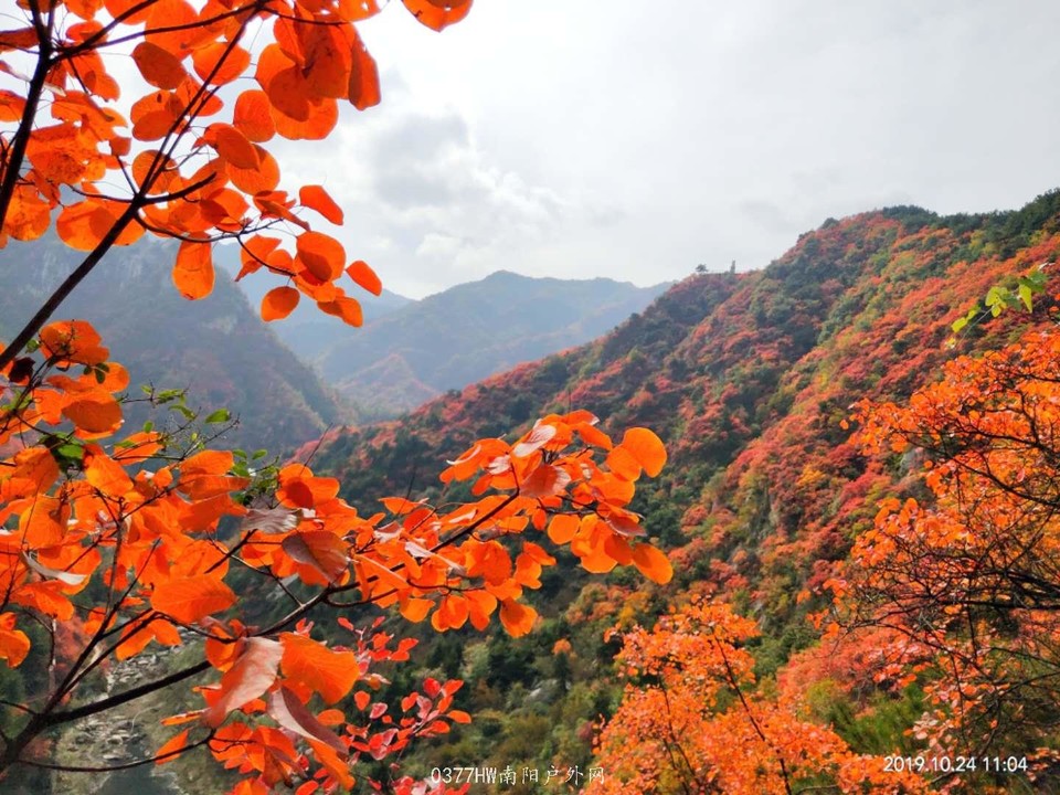 N9w72_49h79HP04gqe8R2cFgLEvQ_-tdsUEfWOgVgGg97utFenFAPvG8337GMif_