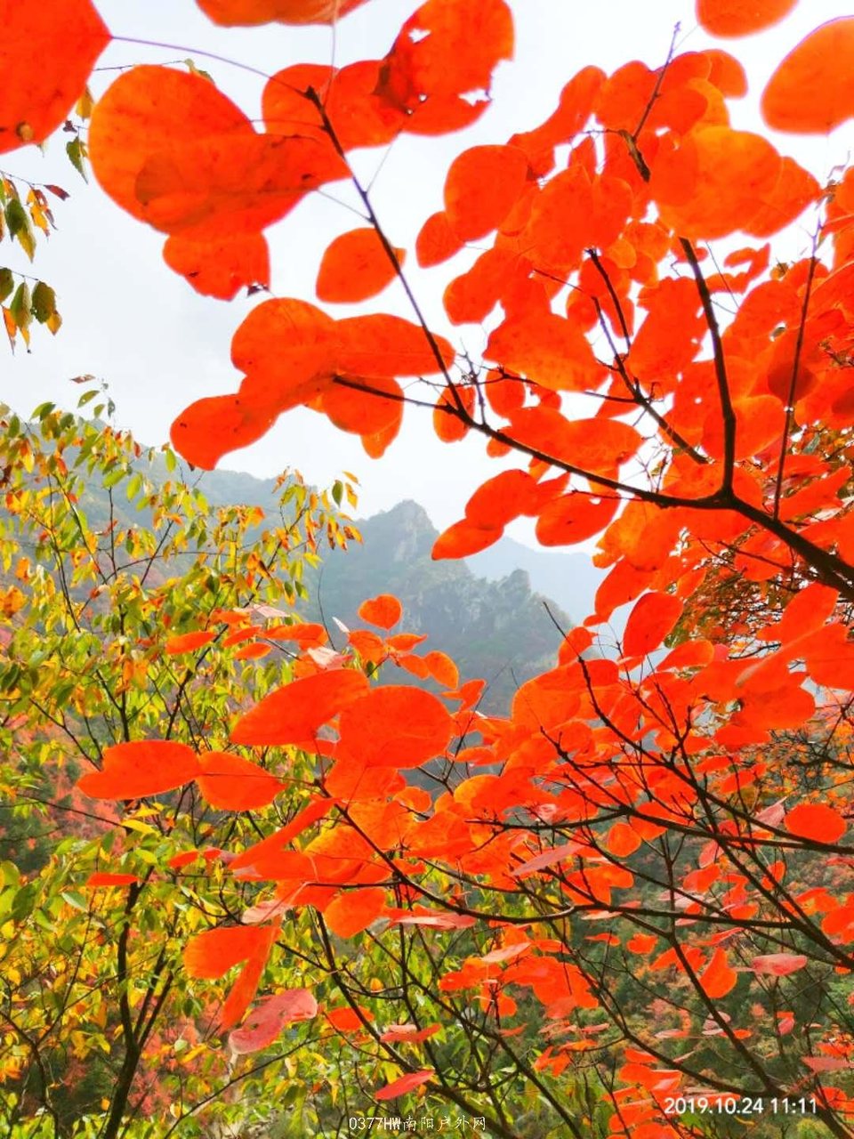 kVU9xSi_4kBb7TE09sWSkLO5lbSl_L_mqxb9Si44Vae_uoLhCFbUMo5Dl5wGxo-w