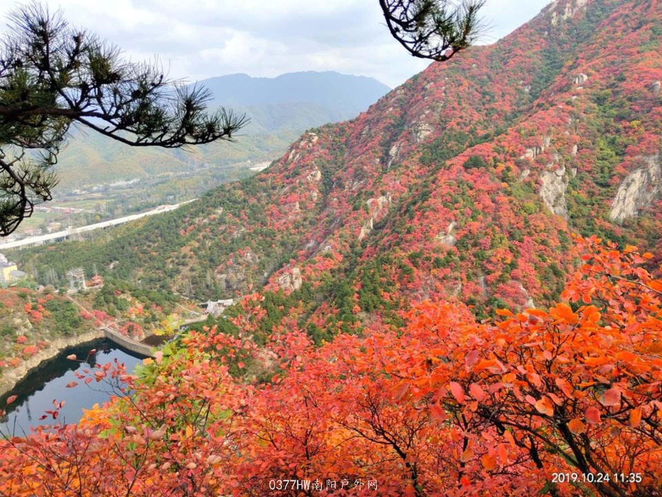 oCHmSbNggTjUA3mjLISrDPtnalCwfdfbikrEUkohu_pWf0syGIpZmelC7dqywKAT