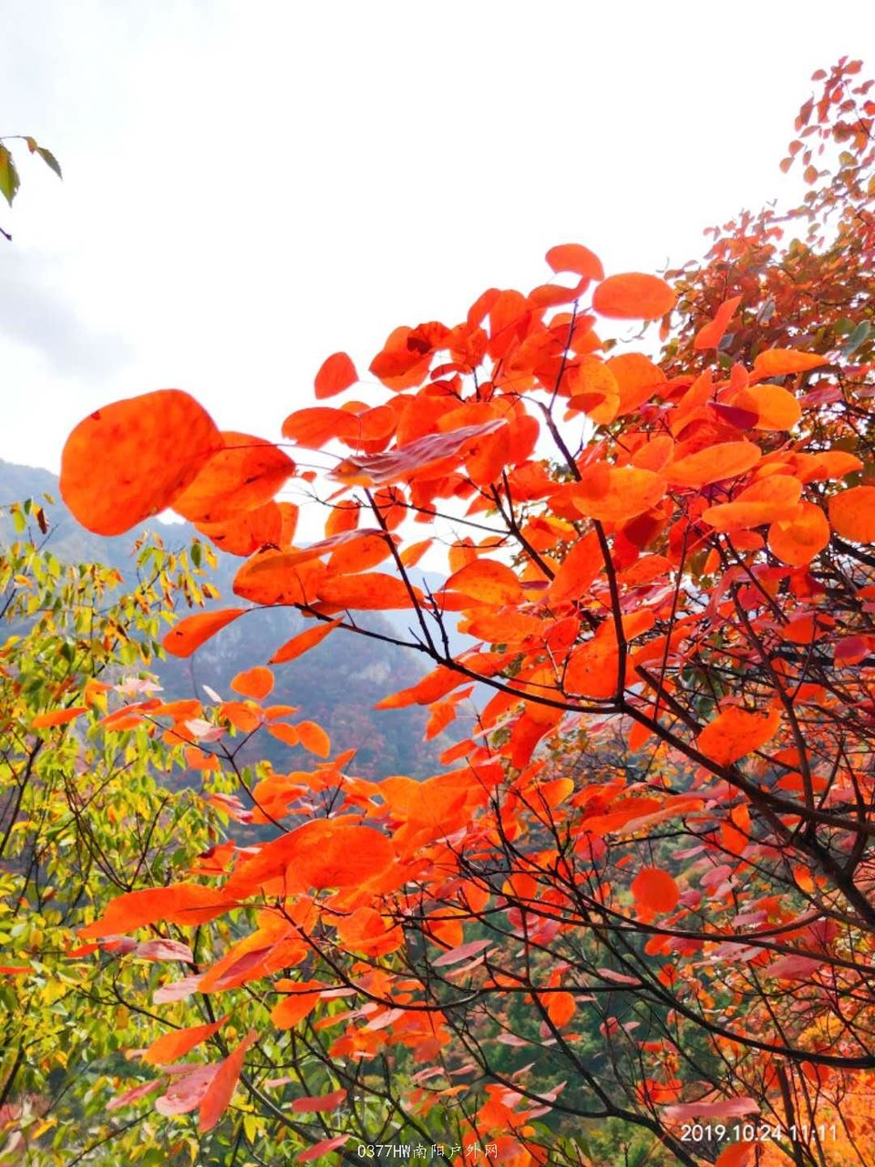 x6VzQe1w7knhfxqgQa7sz5QhMe8ti2pZfDXwnAb4jDSw5LgDo9XHFuNdTwU2aHKW