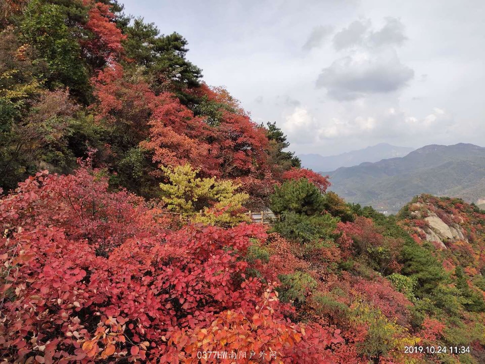 t34NN3W8Nu1Sy2riwMnBYKL-zEVCPAGbScPLfKsxGi_pHDZLQ3u4zWXOP8sDSHRg