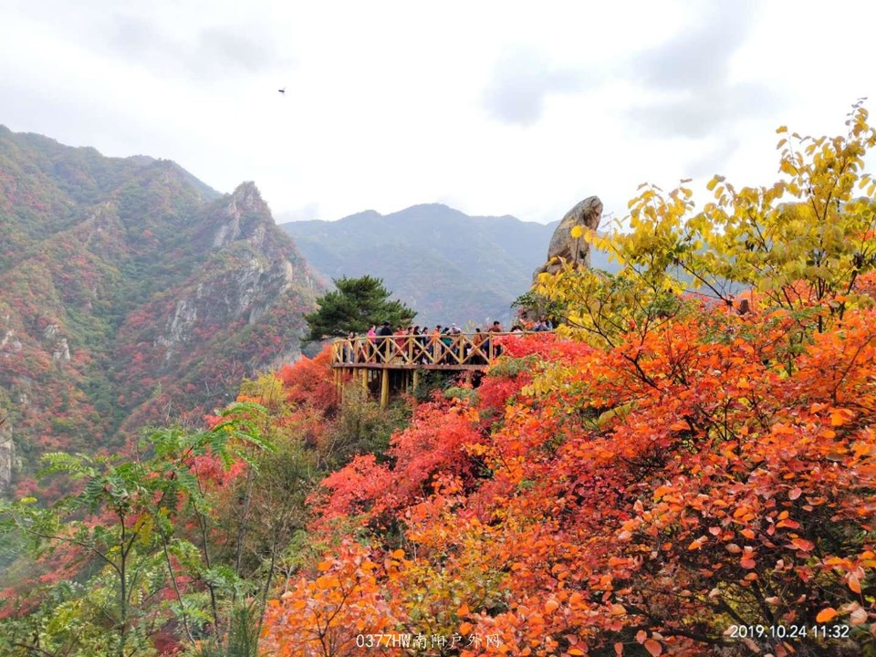 4L8vjuVPG9Ex4iILTN7d0Ff6ClOXKwKz4qbh7ar1juzrBxstRiRkRXvyaASyV5Ap