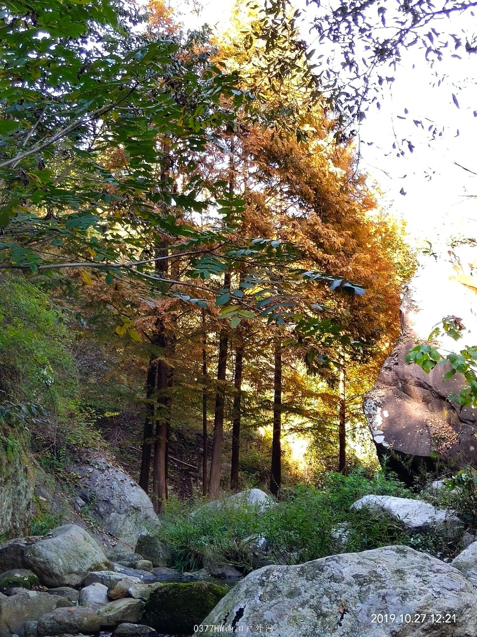 IMG_20191027_133635 - 副本