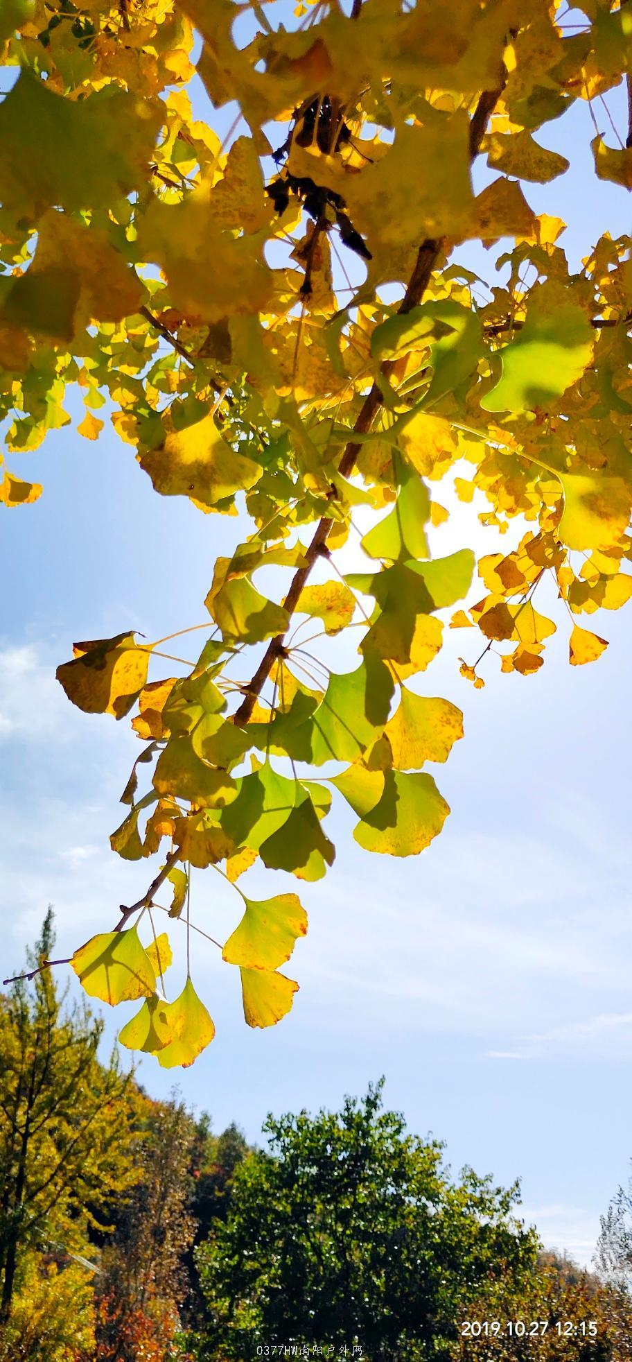 IMG_20191027_133701 - 副本