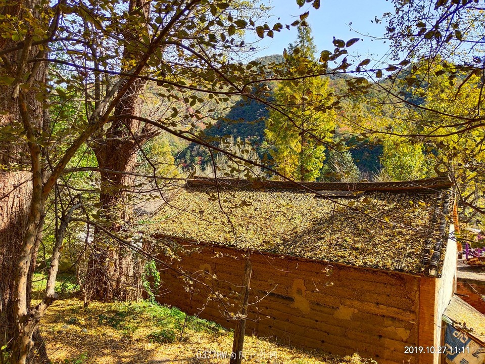 IMG_20191027_133854 - 副本