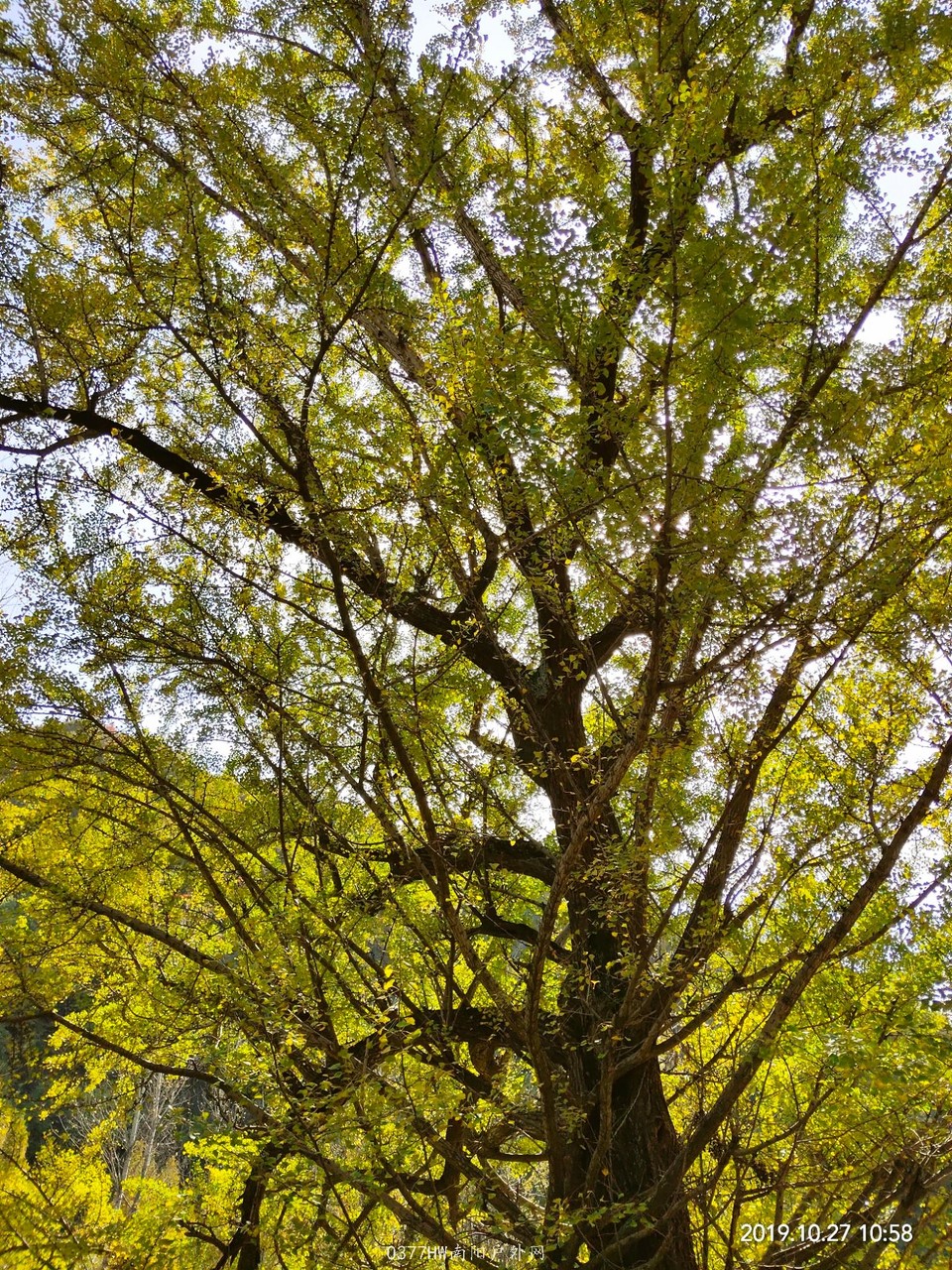 IMG_20191027_133910 - 副本