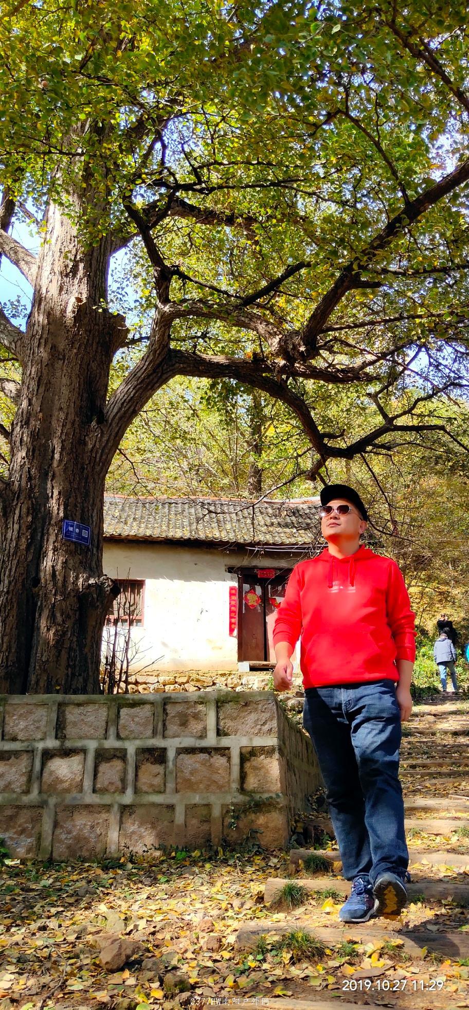 IMG_20191027_135543 - 副本